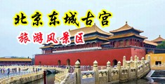 艹女生的阴道免费网站中国北京-东城古宫旅游风景区